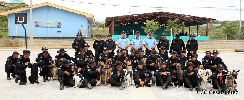 CANINA1